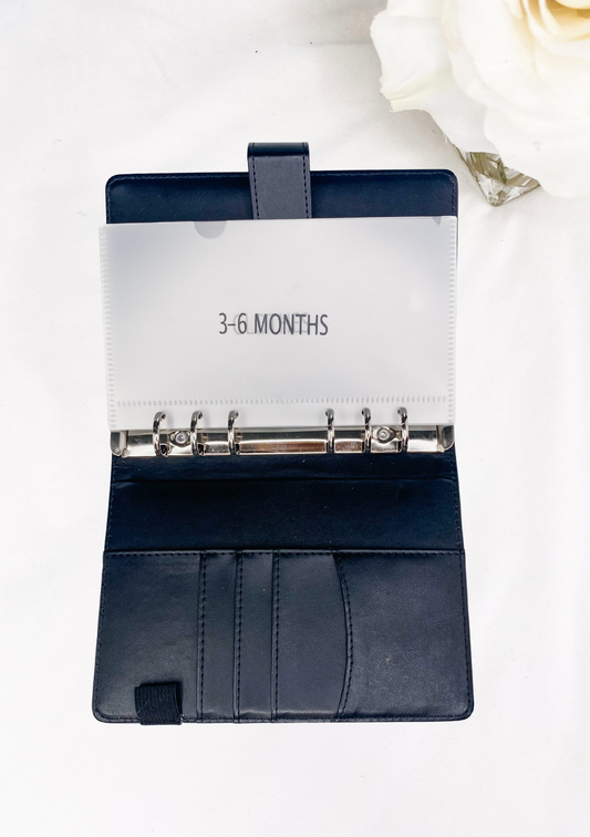 Frosted Vinyl Cash Envelopes